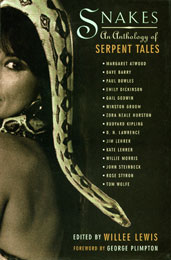 Book Cover Design by Susan Shapiro