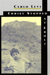 Book Cover Design by Susan Shapiro