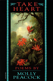 Book Cover Design by Susan Shapiro