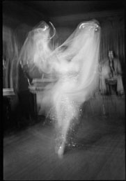 Susan Shapiro Photography