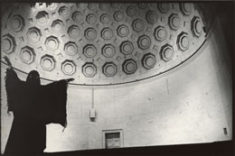 Susan Shapiro Photography