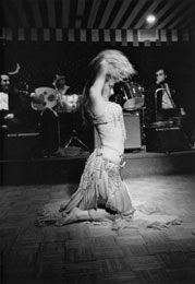 Susan Shapiro Photography