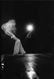 Susan Shapiro Photography