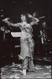 Susan Shapiro Photography