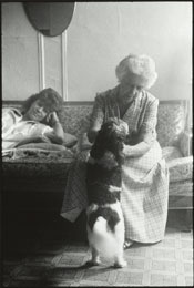 Susan Shapiro Photography