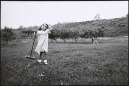 Susan Shapiro Photography