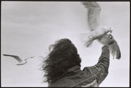 Susan Shapiro Photography