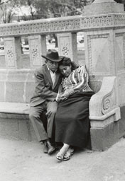 Susan Shapiro Photography