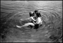 Susan Shapiro Photography