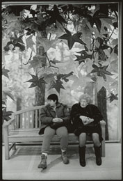 Susan Shapiro Photography