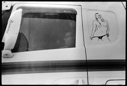 Susan Shapiro Photography