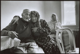 Susan Shapiro Photography