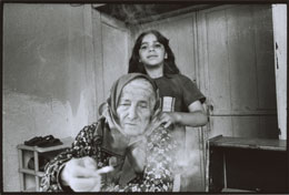 Susan Shapiro Photography