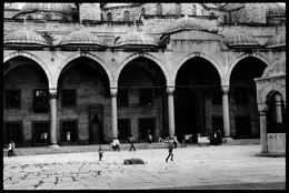 Susan Shapiro Photography