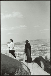 Susan Shapiro Photography