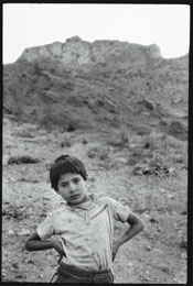 Susan Shapiro Photography