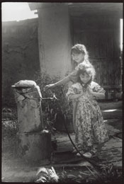 Susan Shapiro Photography