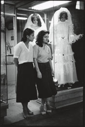 Susan Shapiro Photography