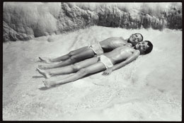 Susan Shapiro Photography