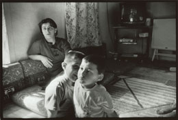 Susan Shapiro Photography