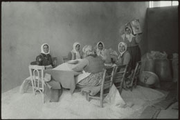 Susan Shapiro Photography