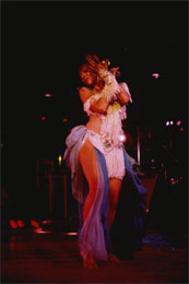 Susan Shapiro Photography