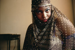 Susan Shapiro Photography