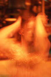 Susan Shapiro Photography