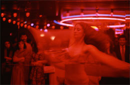 Susan Shapiro Photography