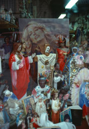 Susan Shapiro Photography