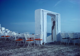 Susan Shapiro Photography