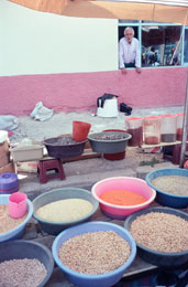 Susan Shapiro Photography