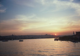 Susan Shapiro Photography