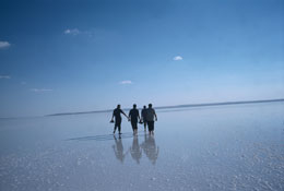 Susan Shapiro Photography