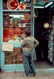 Susan Shapiro Photography