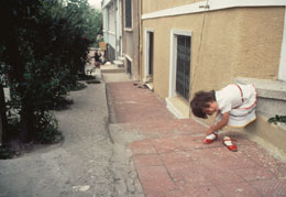 Susan Shapiro Photography