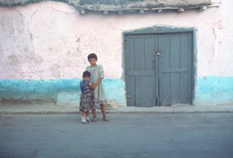 Susan Shapiro Photography